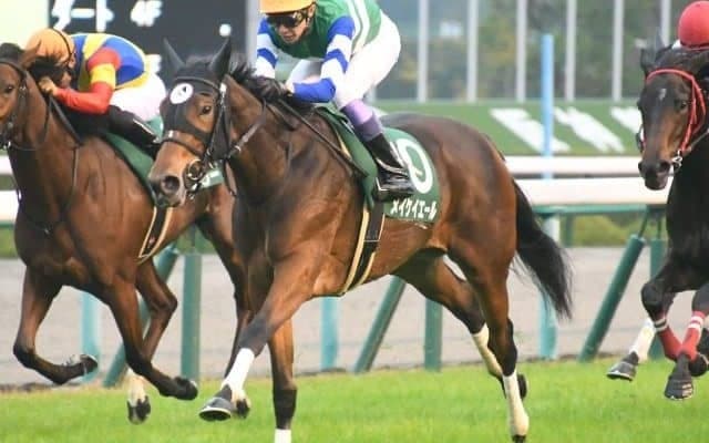 【キーンランドC見どころ】3歳牝馬メイケイエールが巻き返しを狙う