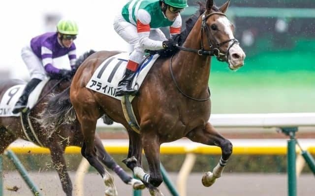 【新潟2歳S見どころ】世代最初のマイル重賞にアライバルなど素質馬が集結！