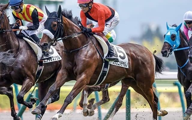 【地方競馬】プリンニシテヤルノが大井の蛯名雄太厩舎に移籍
