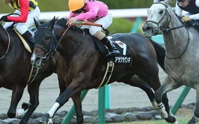 【小倉サマージャンプ想定騎手】アサクサゲンキは熊沢重文騎手、マサハヤドリームは森一馬騎手