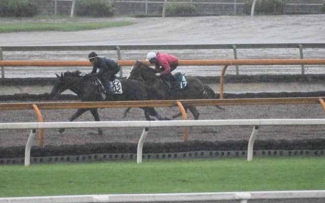 アドマイヤロブソン半弟アドマイヤグリーゼが藤岡康太騎手でデビュー/関西馬メイクデビュー情報