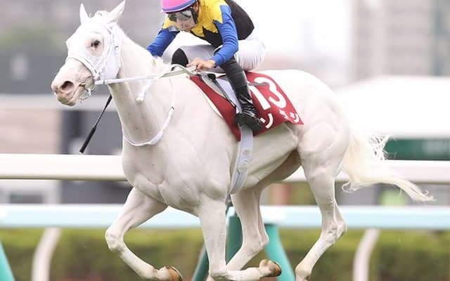 「先へ行っての粘り強さは格別」父クロフネ母父キングカメハメハの強みを体現したソダシ