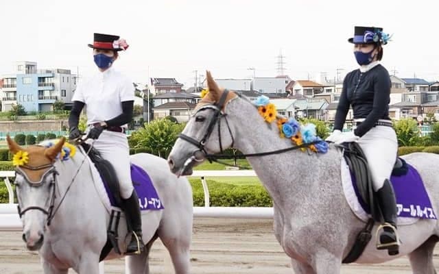 麦わら帽子にひまわり畑！ 可憐なおしゃれが魅力の誘導馬たち