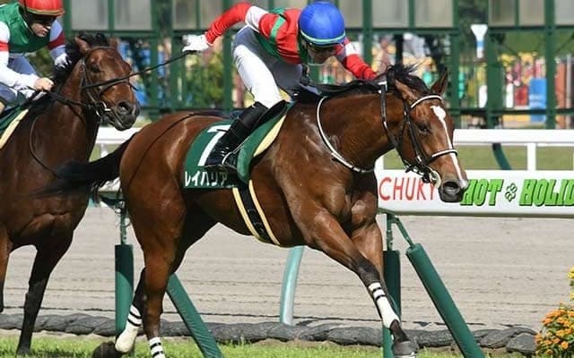 【キーンランドC・注目馬】重賞連勝を狙うレイハリア　ライバルたちの活躍に続けるか