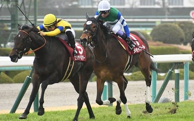 【キーンランドC予想オッズ】メイケイエールが予想1番人気に