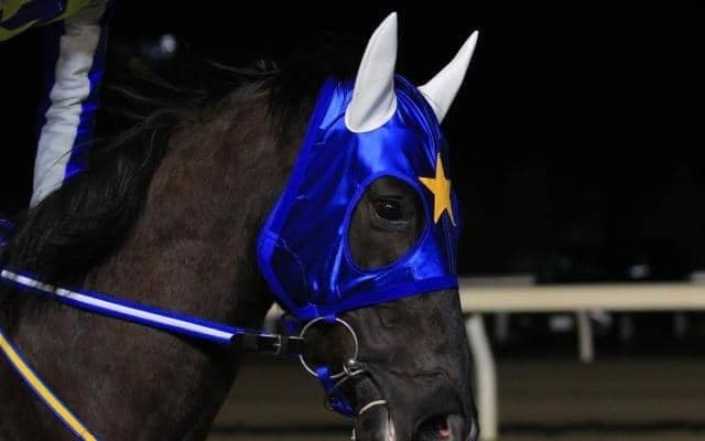 【門別競馬情報】1200mでの初勝利ねらう快足アザワク！そうはさせじと実績馬ソルサリエンテ、フジノパンサーらが自慢の末脚で追い詰める「ロードカナロア・プレミアム」/地方競馬情報