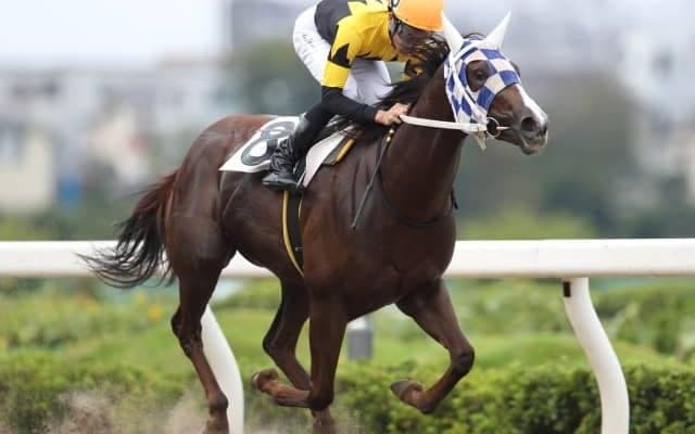 【浦和・新選特別結果】本橋孝太騎手騎乗のジョーストーリーが無傷の3連勝