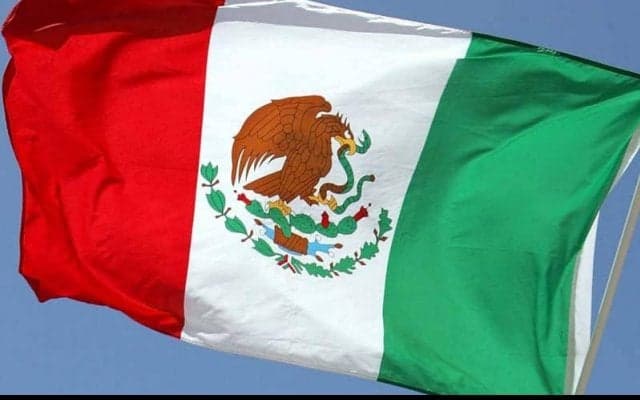 誤って味方を突き飛ばすハプニングも…女子サッカーでベンチ総出の“乱闘騒ぎ”に