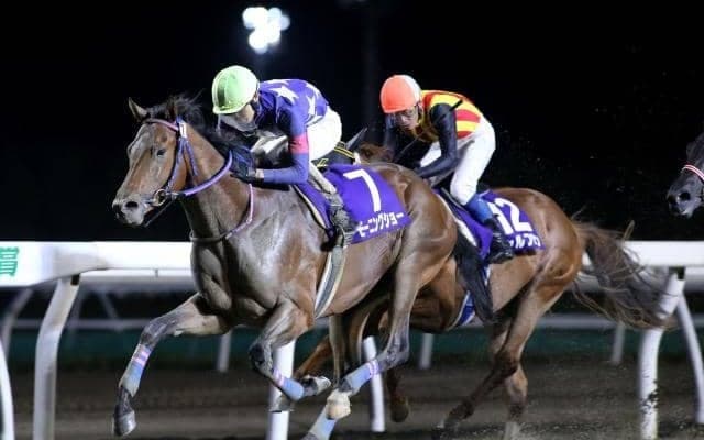 【門別競馬情報】実績上位のモーニングショー、ダイナソーらに新星候補リコーヴィクターの走りも注目！「第8回サッポロクラシックカップH2」/地方競馬情報