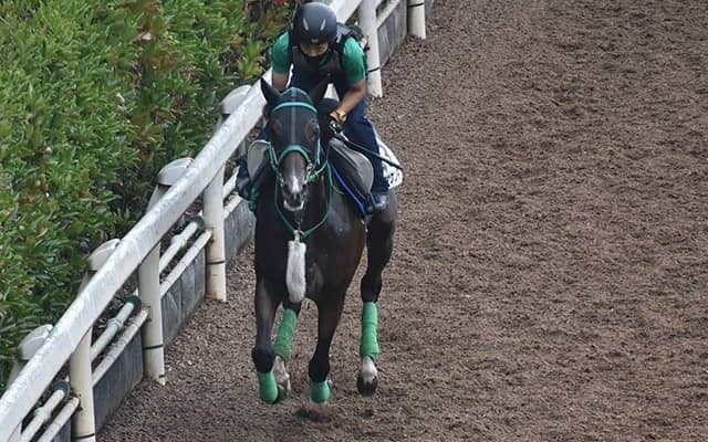 【小倉サマージャンプ】出走馬・騎手確定 アサクサゲンキ＆熊沢重文騎手、マサハヤドリーム＆森一馬騎手など8頭