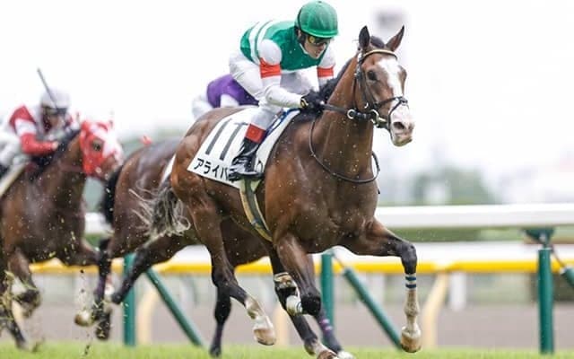 【新潟2歳S・注目馬】アライバル　デビュー戦で能力の一端を示した素質馬が重賞初制覇へ
