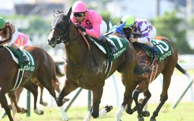 【小倉サマージャンプ枠順確定】アサクサゲンキは6枠6番、コウキチョウサンは1枠1番