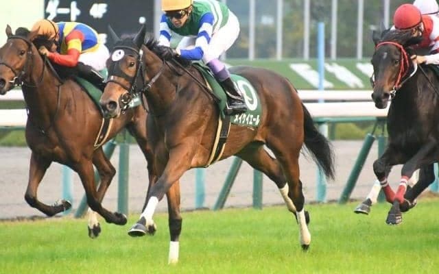 【キーンランドC枠順確定】メイケイエールは3枠5番、ミッキーブリランテは6枠11番