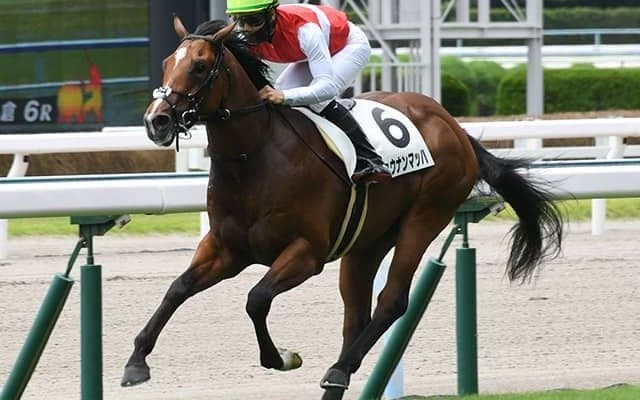 【小倉2歳S想定】ショウナンマッハは松山弘平騎手、スリーパーダは福永祐一騎手
