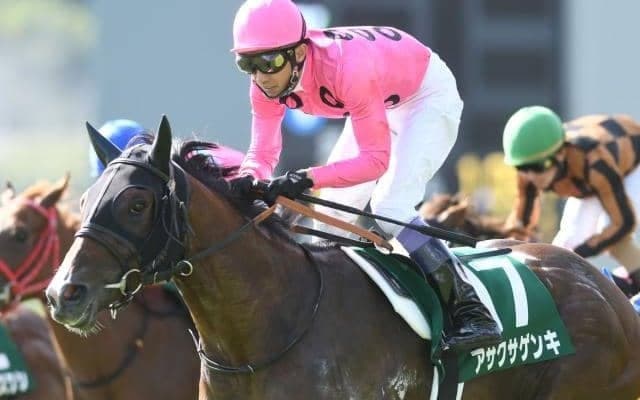 【本日の注目ポイント】障害重賞・小倉サマージャンプ　新馬戦では注目馬が続々デビュー