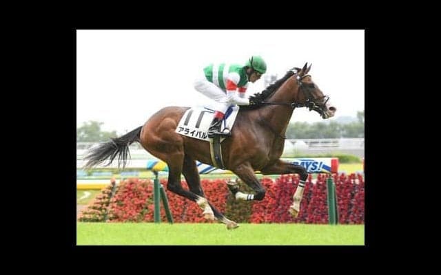 新潟２歳Ｓは血統から素質を見る。このレースから大物に育っていきそうな２頭は？