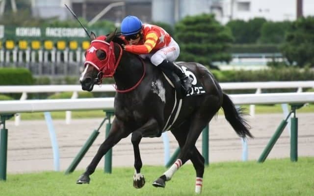 【ひまわり賞結果】熊本産馬ヒノクニが抜け出して九州産限定戦を制す