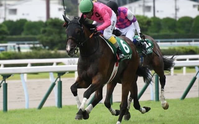 【小倉サマーJ結果】アサクサゲンキが史上14頭目の平地障害両重賞V　熊沢Jは障害最多勝タイの254勝目！