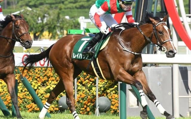 【キーンランドC予想】オールアットワンスやヨカヨカに勝ってても…ココでの評価は慎重に 評価を落とす条件は十分？/JRAレース展望 