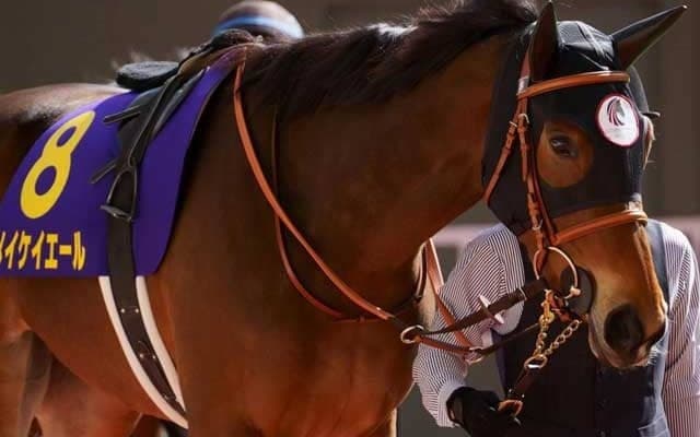 【本日の注目ポイント】札幌でキーンランドC、新潟では新潟2歳S