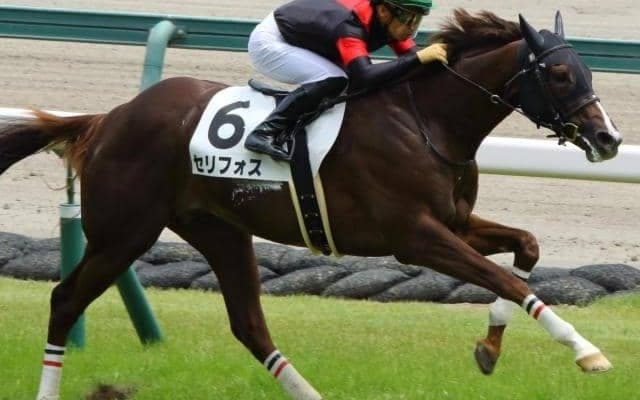 【新潟2歳S予想】世代最初のマイル重賞に素質馬が多数集結
