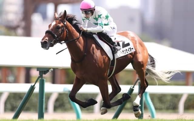 【札幌5R新馬戦結果】レイトカンセイオーが早め先頭から押し切り人気に応える