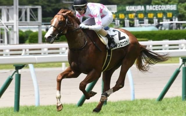 【小倉5R新馬戦結果】モーリス産駒マテンロウスカイが鋭く伸びて5馬身差圧勝