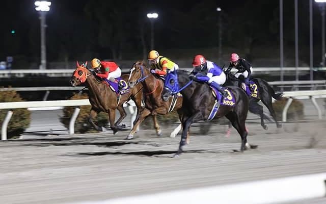 【地方競馬】高知競馬で3連複最高配当の102万馬券