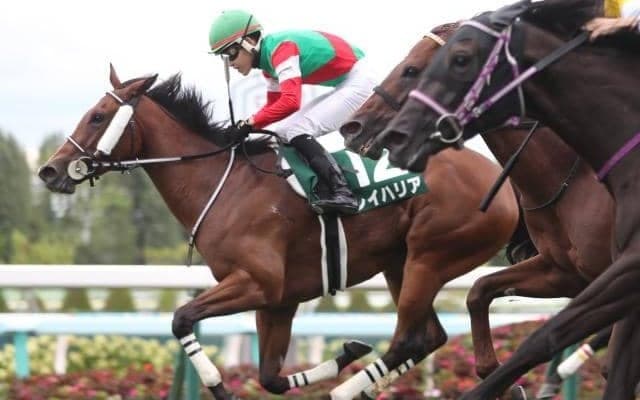 【キーンランドC結果】3歳牝馬レイハリアが押し切り重賞連勝！