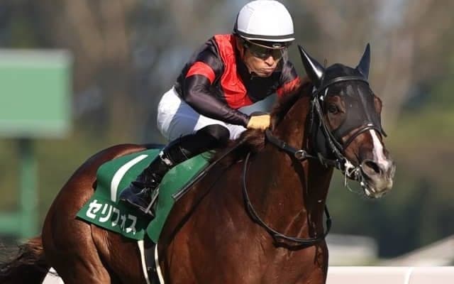 【勝負の分かれ目 新潟2歳S】父譲りの勝負強さでセリフォスが完勝