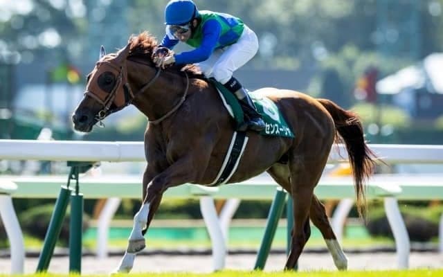 夏競馬最終週は3重賞　新潟記念・札幌2歳S・小倉2歳S/今週の競馬界の見どころ