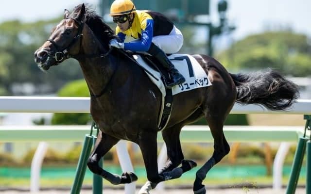 【札幌2歳S見どころ】ディアドラの全弟リューベック、無傷2連勝で重賞制覇なるか