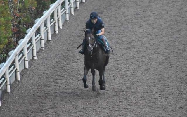 フラーレン半弟ドウデュースがデビュー/関西馬メイクデビュー情報