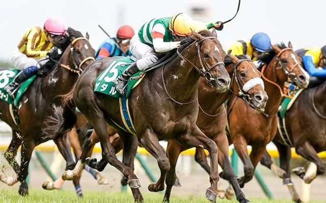 【新潟記念想定騎手】ザダルは石橋脩騎手、トーセンスーリヤは横山和生騎手