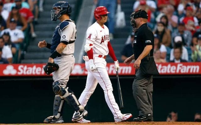 【MLB】「疑わしい」「酷い」　大谷翔平が見逃し三振に倒れた際どい判定にファンからは不満も