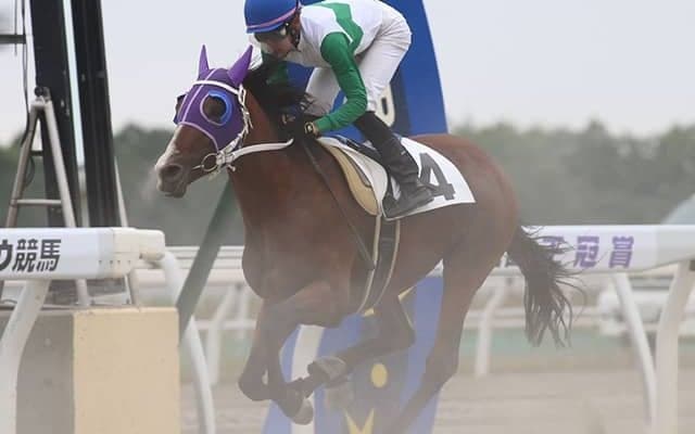 【地方競馬】トウカイテイオー最後の産駒、9月2日門別で仕切り直しの2戦目