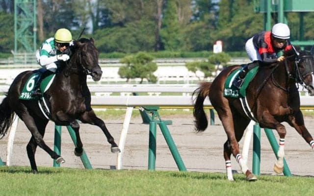 【新潟2歳S】セリフォスがデビュー2連勝！最内から抜け出す