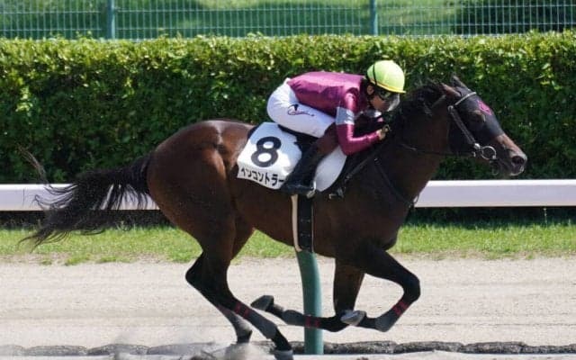 【新馬/新潟6R】マクフィ産駒 インコントラーレ9馬身差圧勝！