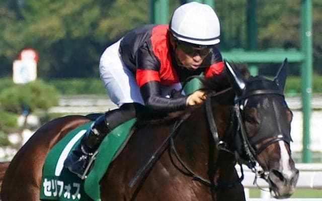【新潟2歳S】川田「能力の高い馬」セリフォスが重賞初制覇