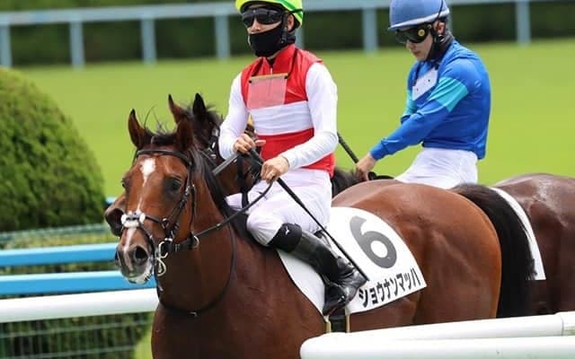 【小倉2歳S予想オッズ】新馬戦圧勝のショウナンマッハが1番人気