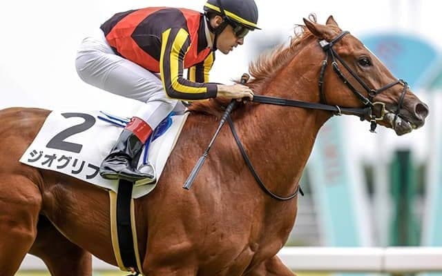 【札幌2歳S予想オッズ】リューベックとジオグリフが人気を分け合う