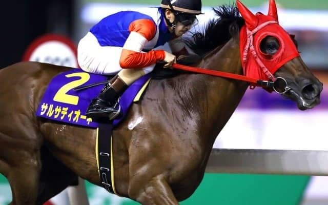 【川崎・スパーキングサマーC】鮮やかに逃げ切ったサルサディオーネの矢野貴之騎手「男馬相手に素晴らしい走りをしてくれました」