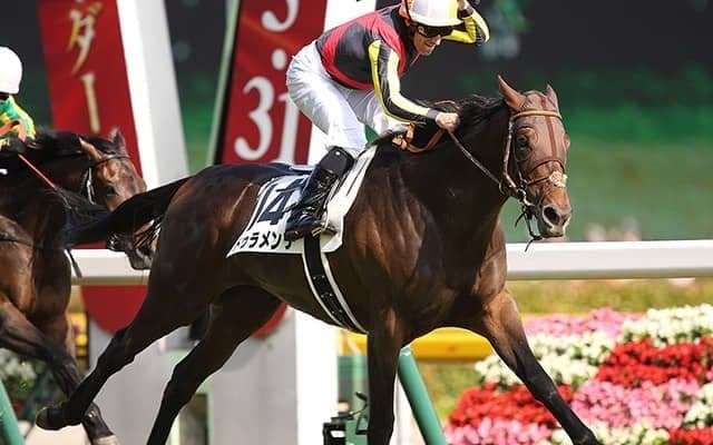 2015年の二冠馬ドゥラメンテが死亡、9歳　種牡馬としても活躍の矢先