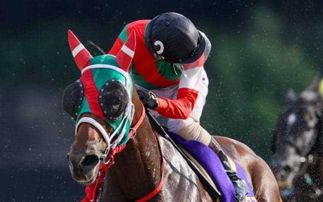 【サマーチャンピオン】鮫島克「自分の競馬をするだけ」ラプタスが圧勝