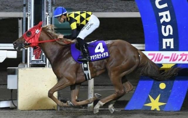 【門別競馬情報】実に「11度目」の制覇なるか角川秀樹厩舎勢＝スティールルージュ＆レディオスター！新馬大差圧勝の田中淳司厩舎スカーレットピースも要注目「第18回リリーカップH3」 /地方競馬情報