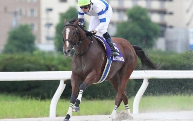 【名古屋・秋桜賞結果】大井のグランデストラーダが7馬身差圧勝