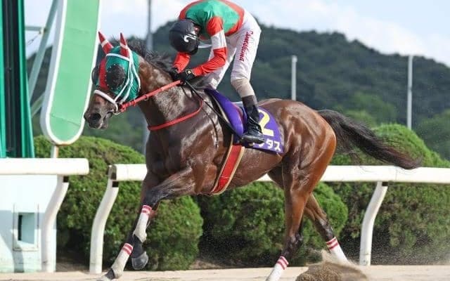 【サマーチャンピオン回顧】得意の地方1400mでラプタスが圧倒/斎藤修