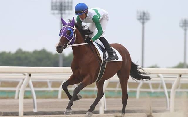 【地方競馬】最後のトウカイテイオー産駒キセキノテイオー、デビュー2戦目は最下位10着