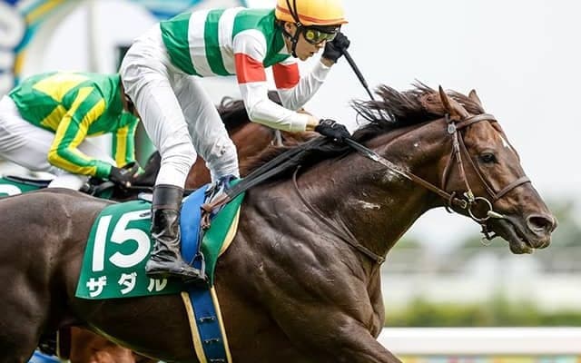 【新潟記念注目馬】ザダル　極上の切れ味を武器に重賞連勝へ