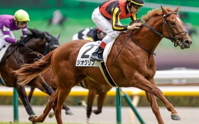 【札幌2歳S枠順確定】ジオグリフは8枠9番、リューベックは1枠1番